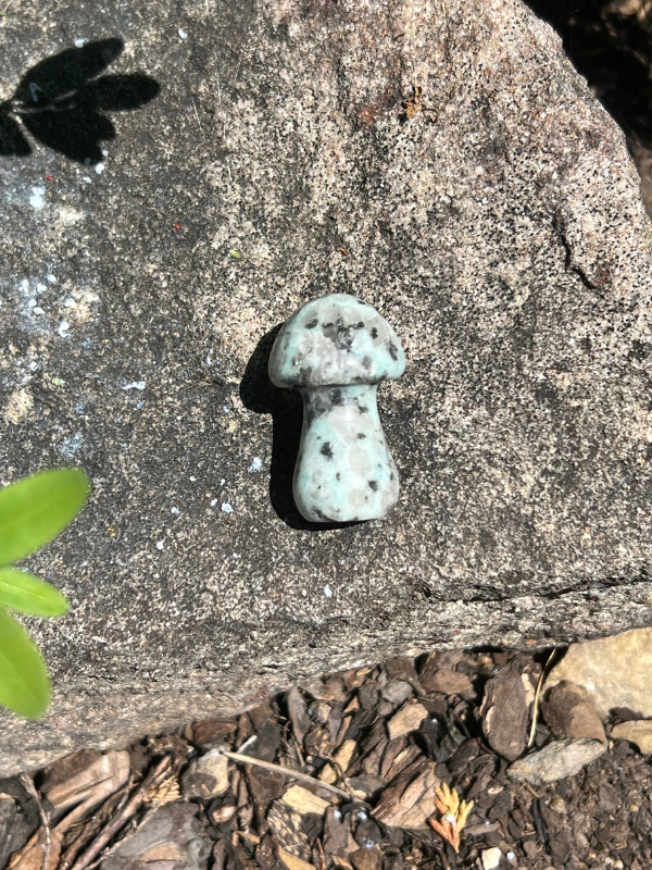 Houba jaspis kiwi