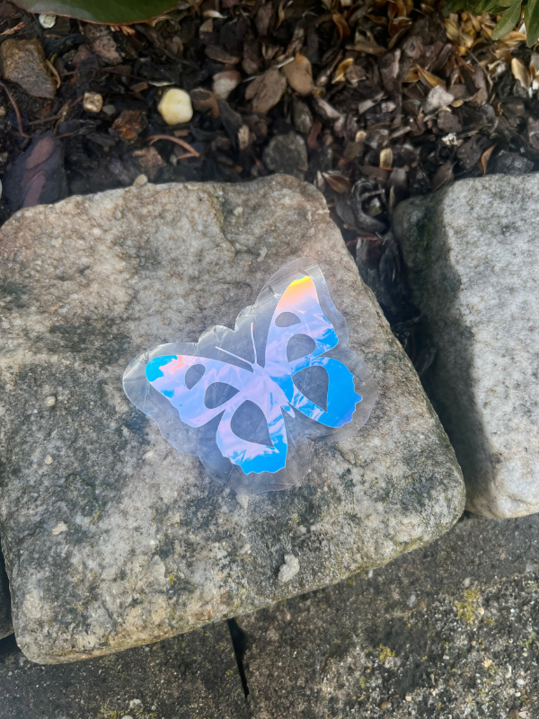 DUHOLEPKA motyl HOLO