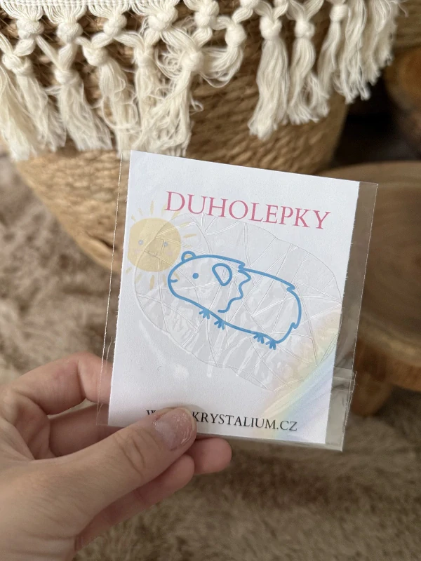 Duholepka MORČE