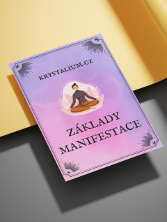 Kartička ZÁKLADY MANIFESTACE
